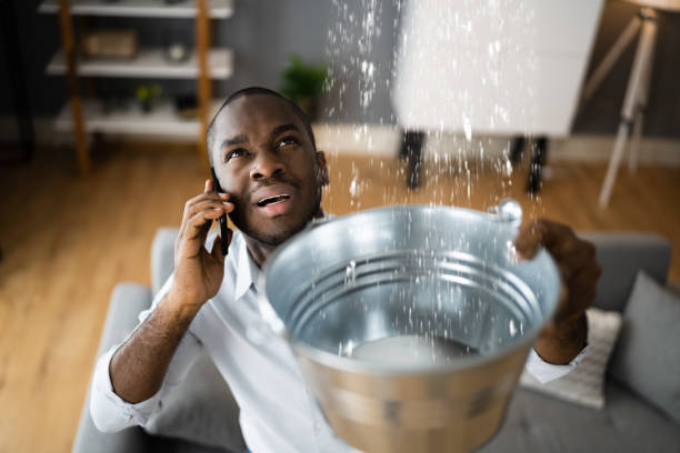 Trusted Joseph City, AZ Water damage restoration Experts