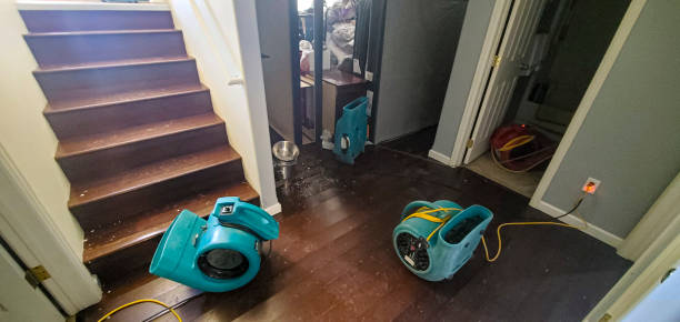 Best Carpet water damage restoration  in Joseph City, AZ