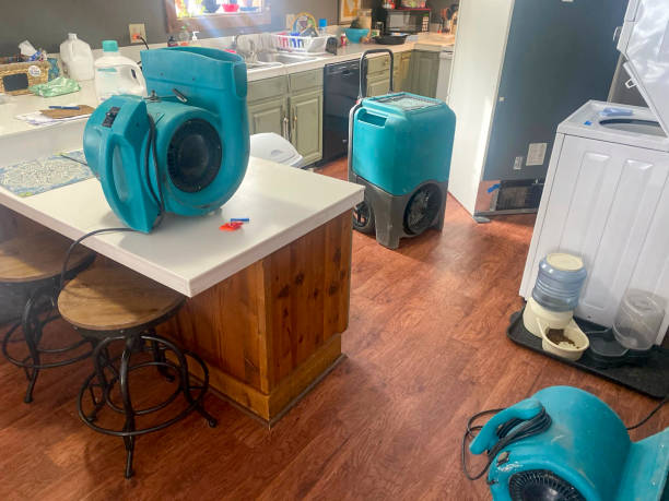 Carpet water damage restoration in Joseph City, AZ
