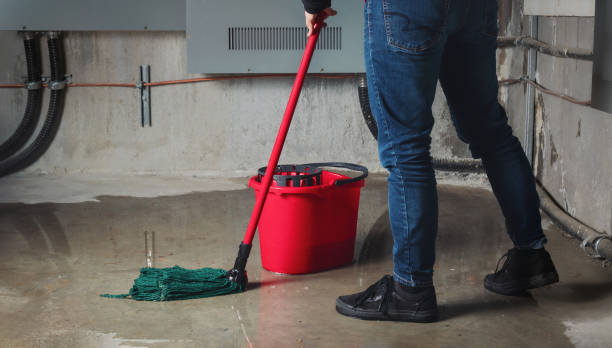 Best Flood damage cleanup  in Joseph City, AZ