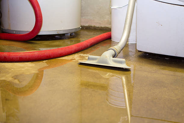 Best Water damage contractors near me  in Joseph City, AZ