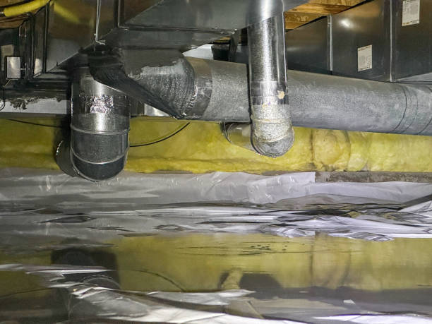 Best Water damage cleanup near me  in Joseph City, AZ